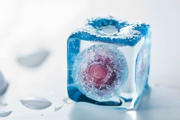 تجميد البويضات